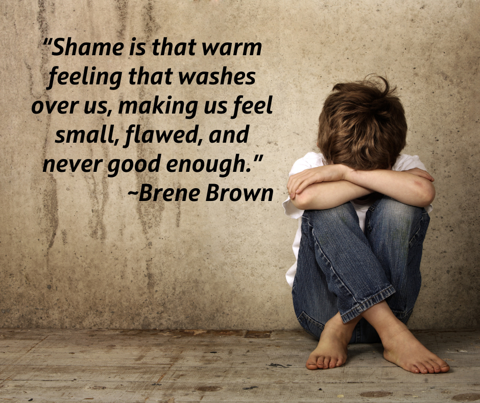 "Shame is that warm feeling that washes over us, making us feel small, flawed, and never good enough." ~Brene Brown